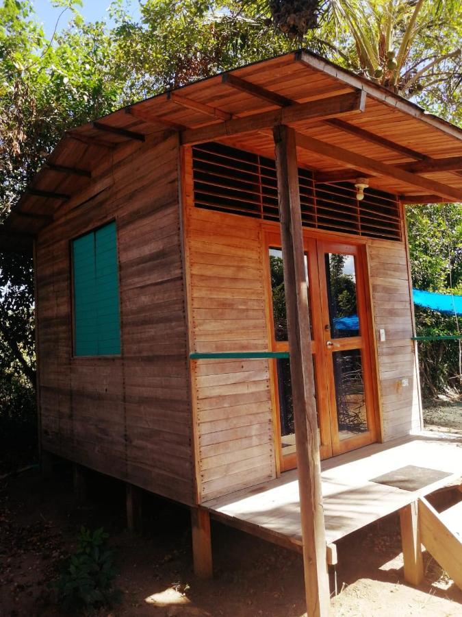 Freesoul Hostel Palomino Room photo